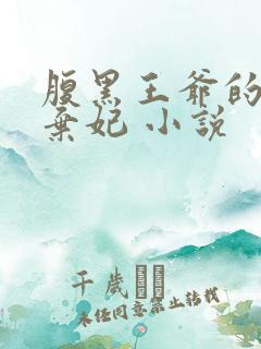 腹黑王爷的天价弃妃 小说