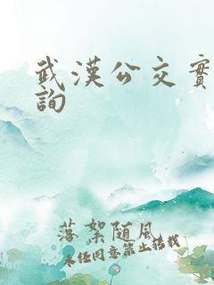 武汉公交实时查询 武汉公交实时查询