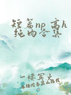 短篇np 高h 纯肉合集