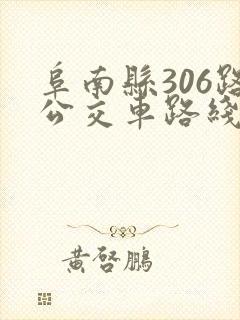 阜南县306路公交车路线