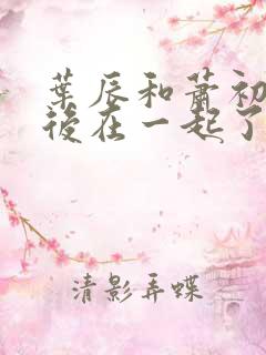 叶辰和萧初然最后在一起了吗