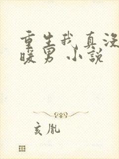 重生我真没想当暖男 小说