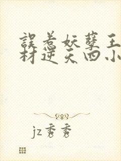 误惹妖孽王爷废材逆天四小姐txt