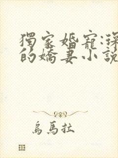 独家婚宠:琛少的娇妻小说