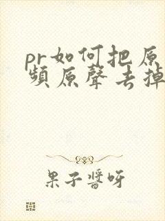 pr如何把原视频原声去掉