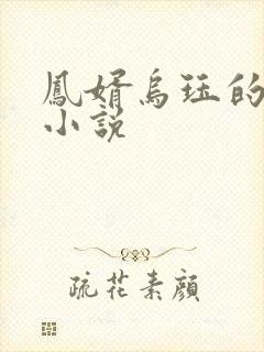 凤婿乌珏的原著小说