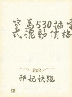 宝马530插电式混动价格