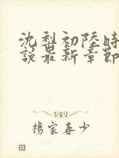 沈梨初陆时霁小说最新章节免费阅读