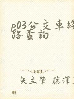 p03公交车线路查询