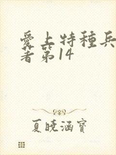 爱上特种兵 原著第14