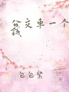 公交车一个多少钱