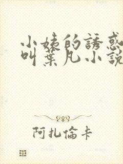 小姨的诱惑主角叫叶凡小说