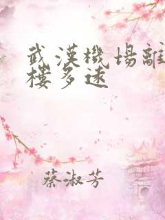 武汉机场离黄鹤楼多远