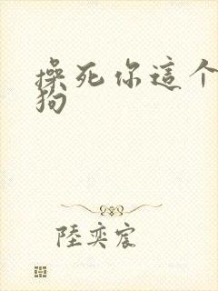 操死你这个小母狗
