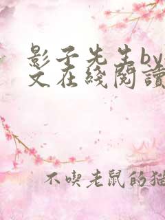 影子先生by全文在线阅读
