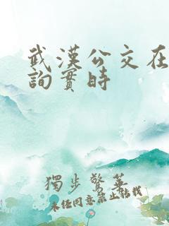 武汉公交在线查询实时