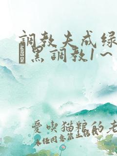 调教夫成绿奴――黑调教1～5
