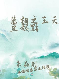 万相之王天蚕土豆起点