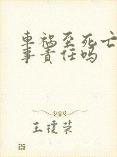 车祸至死亡有刑事责任吗