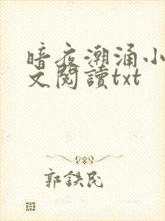 暗夜潮涌小说全文阅读txt