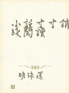小说寸寸销魂在线阅读