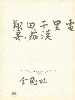 翔田千里电车人妻,痴汉