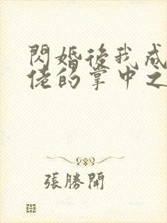 闪婚后我成了大佬的掌中之物剧情介绍