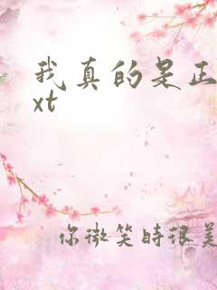我真的是正派txt