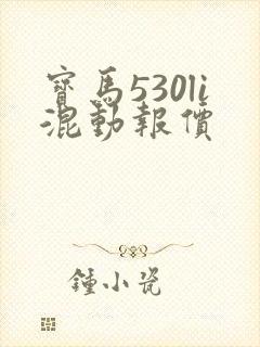 宝马530li混动报价