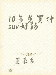 10多万买什么suv好的