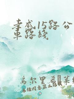 孝感15路公交车路线