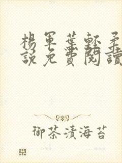 杨军叶轻柔的小说免费阅读无弹窗