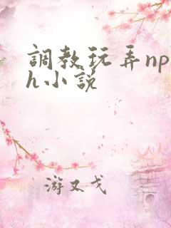 调教玩弄np高h小说