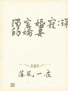独家婚宠:琛少的娇妻