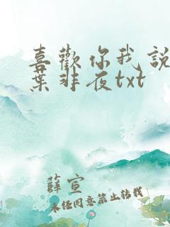 喜欢你我说了算叶非夜txt