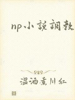 np小说调教