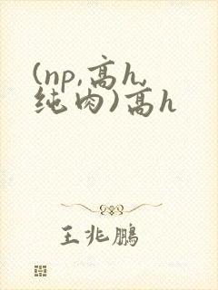 (np,高h,纯肉)高h