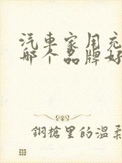 汽车家用充电桩哪个品牌好 汽车家用充电桩哪个品牌好