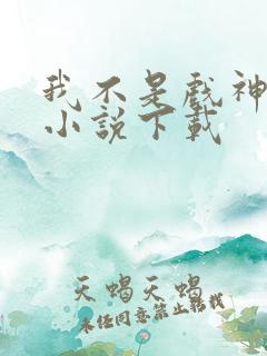 我不是戏神有声小说下载