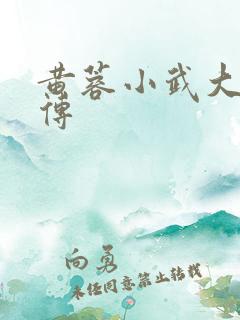 黄蓉小武大武后传