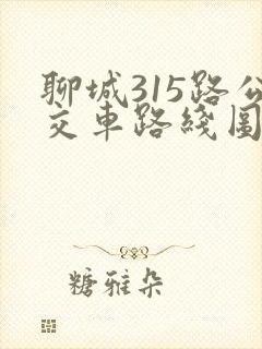 聊城315路公交车路线图