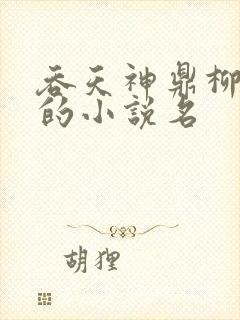 吞天神鼎柳无邪的小说名
