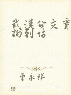 武汉公交实时查询到站