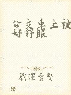 公交车上被摸的好舒服