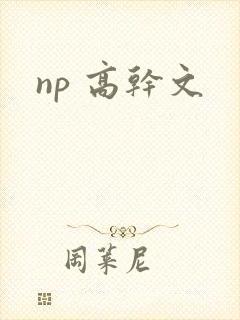 np 高干文