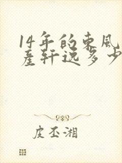 14年的东风日产轩逸多少价位