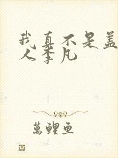 我真不是盖世高人李凡