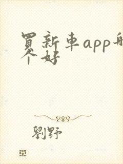 买新车app哪个好