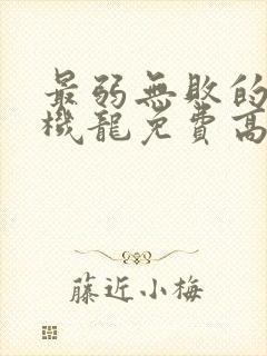最弱无败的神装机龙免费高清 最弱无败的神装机龙免费高清