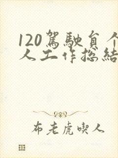 120驾驶员个人工作总结